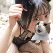 ヒメ日記 2025/03/11 11:43 投稿 スミレ バニーコレクション新潟店