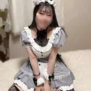 ヒメ日記 2025/03/17 20:58 投稿 スミレ バニーコレクション新潟店