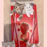 ヒメ日記 2025/03/28 08:01 投稿 スミレ バニーコレクション新潟店