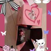 ヒメ日記 2025/03/28 08:30 投稿 スミレ バニーコレクション新潟店