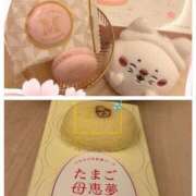 ヒメ日記 2025/04/16 19:47 投稿 スミレ バニーコレクション新潟店