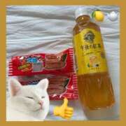 ヒメ日記 2025/04/27 14:18 投稿 スミレ バニーコレクション新潟店