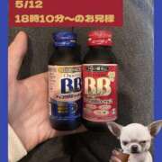 ヒメ日記 2025/05/24 14:02 投稿 スミレ バニーコレクション新潟店