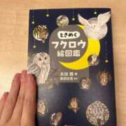 ヒメ日記 2025/08/06 16:13 投稿 スミレ バニーコレクション新潟店