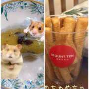 ヒメ日記 2025/10/19 21:03 投稿 スミレ バニーコレクション新潟店