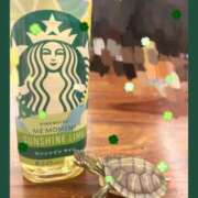 ヒメ日記 2025/10/21 21:45 投稿 スミレ バニーコレクション新潟店