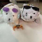 ヒメ日記 2025/12/09 00:06 投稿 スミレ バニーコレクション新潟店