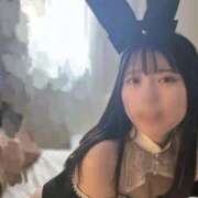 ヒメ日記 2026/02/14 00:52 投稿 スミレ バニーコレクション新潟店