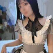 ヒメ日記 2026/03/20 03:00 投稿 スミレ バニーコレクション新潟店