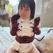 ヒメ日記 2026/05/17 02:08 投稿 スミレ バニーコレクション新潟店