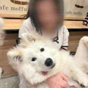 ヒメ日記 2025/06/04 13:02 投稿 せら 萌えカワ