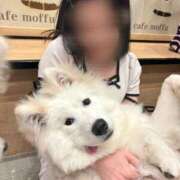 ヒメ日記 2025/06/21 08:07 投稿 せら 萌えカワ