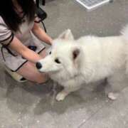 ヒメ日記 2025/07/12 23:15 投稿 せら 萌えカワ