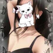 ヒメ日記 2025/10/14 12:42 投稿 ちむ メイドde本舗