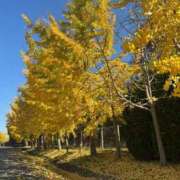 ヒメ日記 2025/11/21 15:22 投稿 じゅんな 梅田アバンチュール