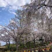 ヒメ日記 2025/04/11 07:23 投稿 おとは☆未経験清純派美人 松戸人妻城