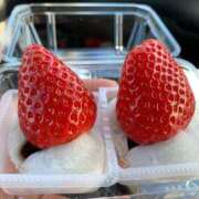 ヒメ日記 2025/04/05 23:29 投稿 れもん サンキュー厚木店