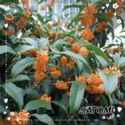 ヒメ日記 2025/11/10 09:55 投稿 さとみ 梅田アバンチュール