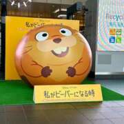 ヒメ日記 2026/03/19 09:34 投稿 さとみ 梅田アバンチュール