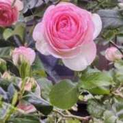 ヒメ日記 2025/08/01 08:30 投稿 山岸 松戸おかあさん