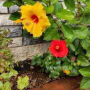 ヒメ日記 2025/10/16 12:15 投稿 山岸 松戸おかあさん