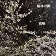 ヒメ日記 2025/03/30 07:30 投稿 まりえ 奥鉄オクテツ東京店（デリヘル市場）