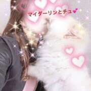 ヒメ日記 2025/04/01 19:00 投稿 まりえ 奥鉄オクテツ東京店（デリヘル市場）