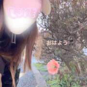 ヒメ日記 2025/04/18 07:30 投稿 まりえ 奥鉄オクテツ東京店（デリヘル市場）