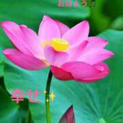 ヒメ日記 2025/04/27 07:35 投稿 まりえ 奥鉄オクテツ東京店（デリヘル市場）