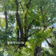 ヒメ日記 2025/05/05 16:35 投稿 まりえ 奥鉄オクテツ東京店（デリヘル市場）