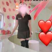 ヒメ日記 2025/05/19 21:10 投稿 まりえ 奥鉄オクテツ東京店（デリヘル市場）