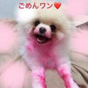 ヒメ日記 2025/06/01 11:20 投稿 まりえ 奥鉄オクテツ東京店（デリヘル市場）