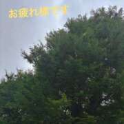 ヒメ日記 2025/06/13 12:30 投稿 まりえ 奥鉄オクテツ東京店（デリヘル市場）