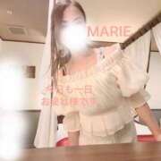 ヒメ日記 2025/06/19 21:00 投稿 まりえ 奥鉄オクテツ東京店（デリヘル市場）