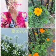 ヒメ日記 2025/07/02 10:10 投稿 まりえ 奥鉄オクテツ東京店（デリヘル市場）