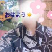 ヒメ日記 2025/07/05 07:30 投稿 まりえ 奥鉄オクテツ東京店（デリヘル市場）