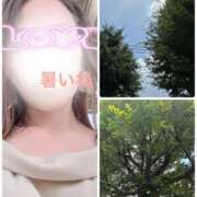 ヒメ日記 2025/07/06 12:25 投稿 まりえ 奥鉄オクテツ東京店（デリヘル市場）