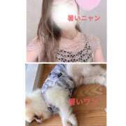 ヒメ日記 2025/07/08 12:40 投稿 まりえ 奥鉄オクテツ東京店（デリヘル市場）