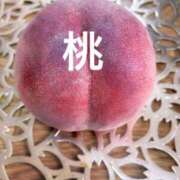 ヒメ日記 2025/07/12 14:00 投稿 まりえ 奥鉄オクテツ東京店（デリヘル市場）