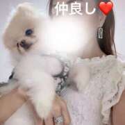 ヒメ日記 2025/07/26 23:20 投稿 まりえ 奥鉄オクテツ東京店（デリヘル市場）