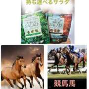 ヒメ日記 2025/08/11 13:25 投稿 まりえ 奥鉄オクテツ東京店（デリヘル市場）