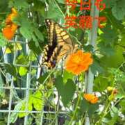 ヒメ日記 2025/08/25 10:15 投稿 まりえ 奥鉄オクテツ東京店（デリヘル市場）