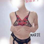 ヒメ日記 2025/09/19 06:30 投稿 まりえ 奥鉄オクテツ東京店（デリヘル市場）