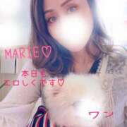 ヒメ日記 2025/10/13 10:10 投稿 まりえ 奥鉄オクテツ東京店（デリヘル市場）