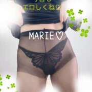 ヒメ日記 2025/11/09 08:00 投稿 まりえ 奥鉄オクテツ東京店（デリヘル市場）