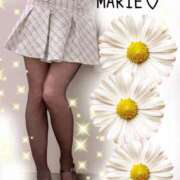 ヒメ日記 2025/11/16 20:55 投稿 まりえ 奥鉄オクテツ東京店（デリヘル市場）