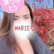 ヒメ日記 2025/12/19 11:35 投稿 まりえ 奥鉄オクテツ東京店（デリヘル市場）