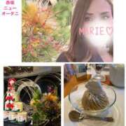 ヒメ日記 2026/01/03 19:10 投稿 まりえ 奥鉄オクテツ東京店（デリヘル市場）