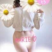 ヒメ日記 2026/01/25 23:00 投稿 まりえ 奥鉄オクテツ東京店（デリヘル市場）