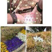 ヒメ日記 2026/03/22 12:00 投稿 まりえ 奥鉄オクテツ東京店（デリヘル市場）